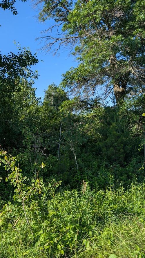 TBD 60th St Sw, Pequot Lakes, MN, 56472 | Card Image