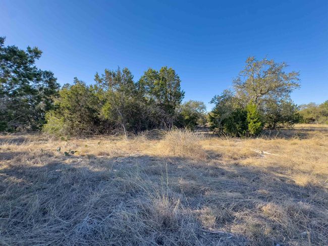 Lot 44 Mountain Laurel Lane, Home with 0 bedrooms, 0 bathrooms and null parking in Spicewood TX | Image 17