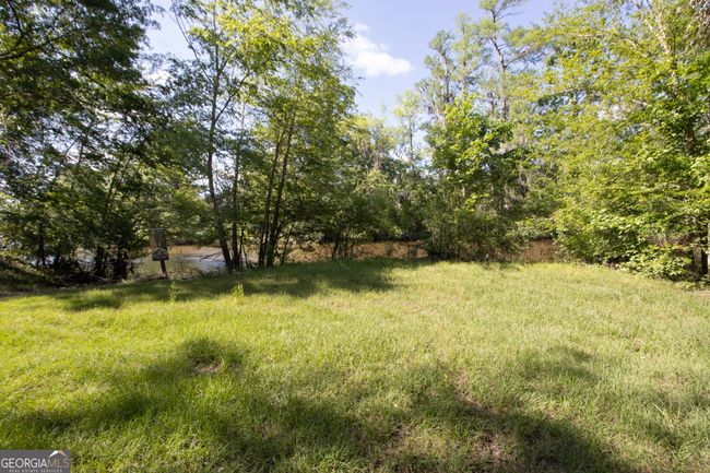 LOT 20 The River Landing, Home with 0 bedrooms, 0 bathrooms and null parking in Midville GA | Image 11
