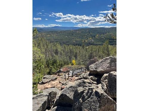 120 Shuswap Ct, Red Feather Lakes, CO, 80545 | Card Image