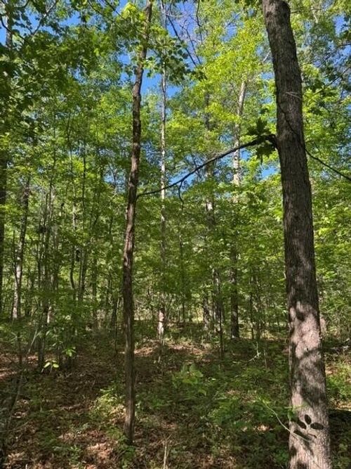585 Genesis Ln, Tracy City, TN, 37387 | Card Image