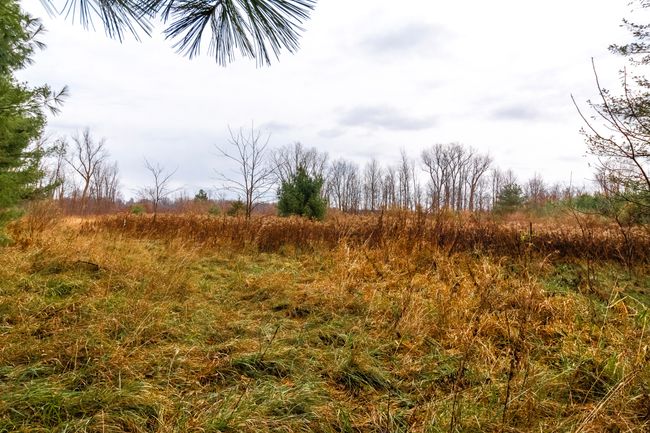 6152 Old State Rd, Home with 0 bedrooms, 1 bathrooms and null parking in North Branch MI | Image 14