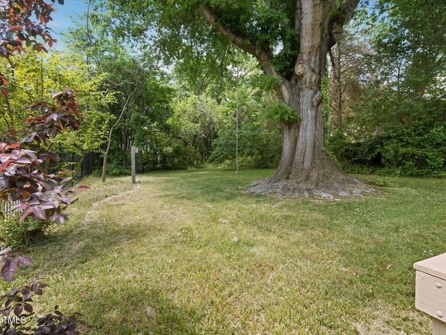 49-Backyard | Image 33