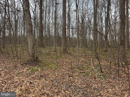 Lot 7 Harness Ln, LOUISA, VA, 23093 | Card Image