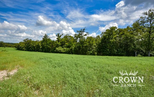 View of undeveloped land featuring rural landscape | Image 7