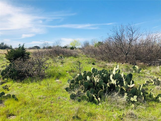 Lot 220 Oak Tree Dr, Home with 0 bedrooms, 0 bathrooms and null parking in Graford TX | Image 6