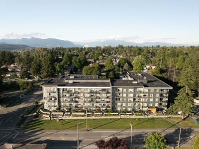 504 - 10838 Whalley Blvd, Condo with 1 bedrooms, 1 bathrooms and 1 parking in Surrey BC | Image 1