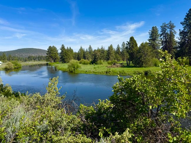 RIVER ACCESS | Image 50