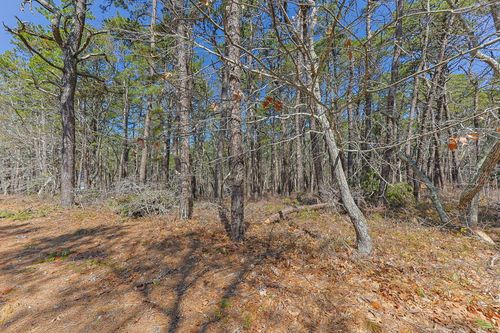 175 Delphi Path, Wellfleet, MA, 02667 | Card Image