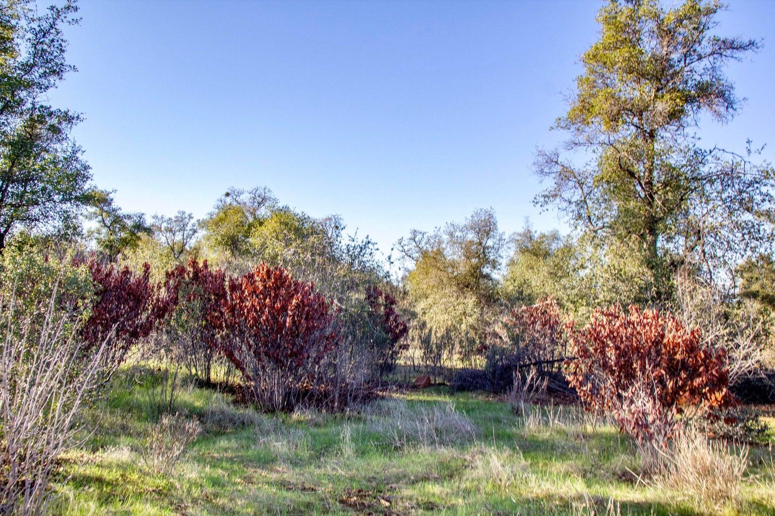 Land in Shingletown 3