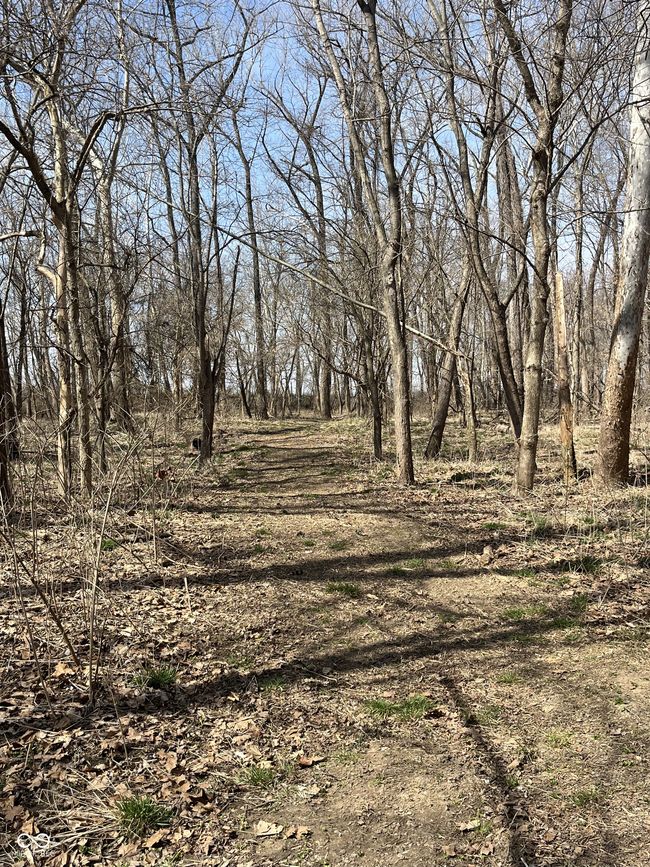 0 River Road Dr, Home with 0 bedrooms, 0 bathrooms and null parking in Columbus IN | Image 11