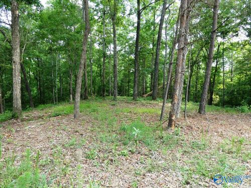 Lot 77 Broken Arrow Trl, Jasper, AL, 35504 | Card Image