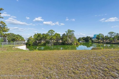 4033 Amberjack Dr, Hernando Beach, FL, 34607-3606 | Card Image