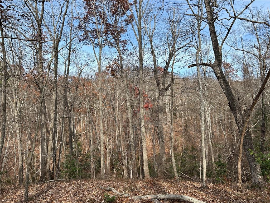 Land in Baldwin