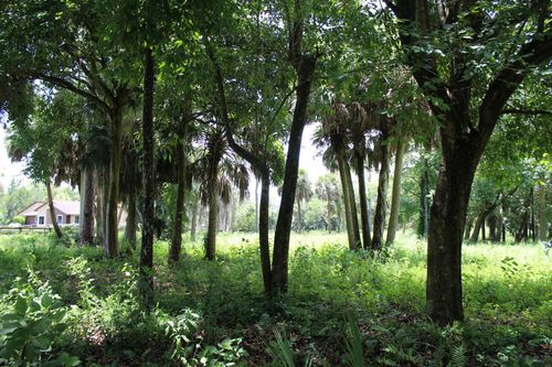 1275 Arabian Dr, Loxahatchee, FL, 33470-3901 | Card Image