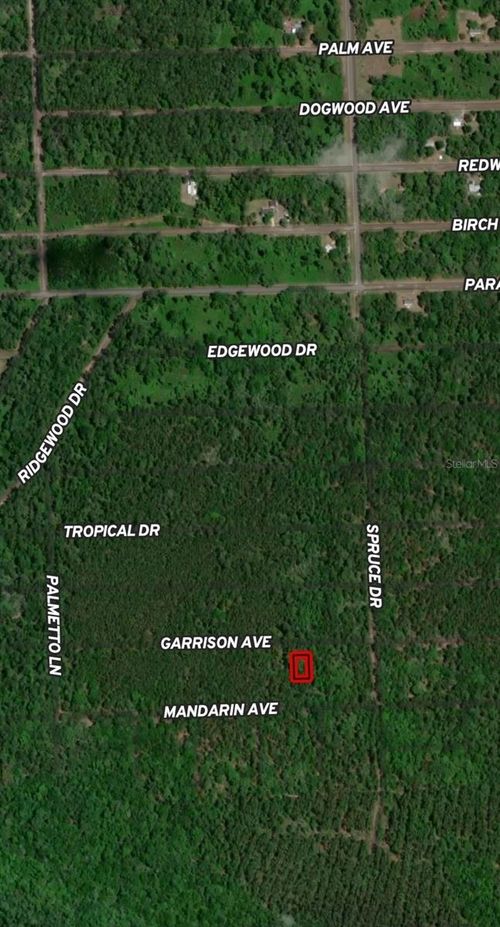 131 Garrison Ave, Georgetown, FL, 32139 | Card Image