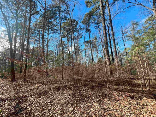 1011 Polk Road 38, House other with 2 bedrooms, 2 bathrooms and null parking in Hatfield AR | Image 9