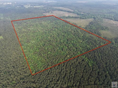 000 County Road 4123, Bivins, TX, 75555 | Card Image