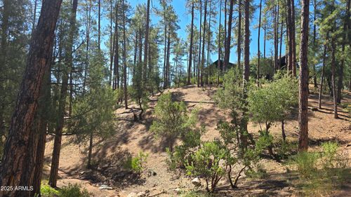 525-401 N Grapevine Dr, Payson, AZ, 85541-4154 | Card Image