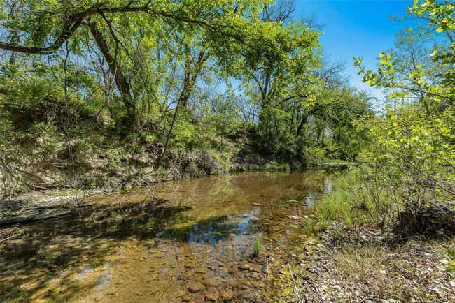 Creek | Image 12