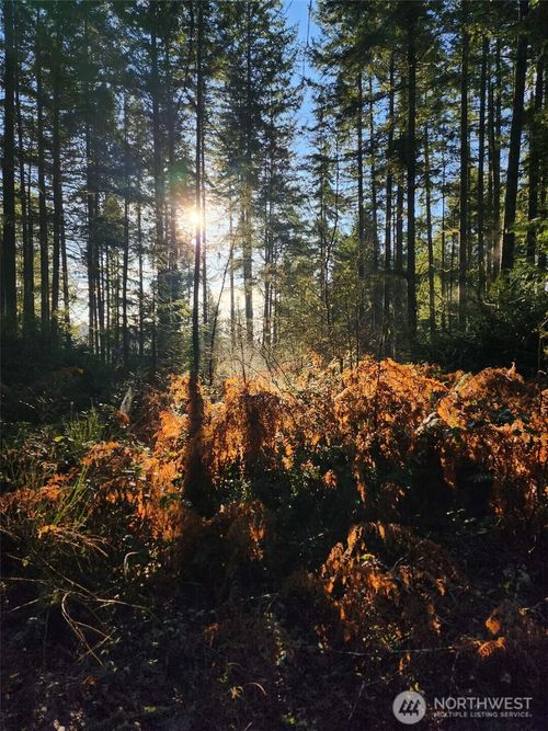 91 E Tepee Ln, Belfair, WA, 98528-8924 | Card Image