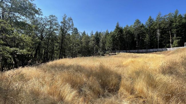 Big open flat area | Image 42