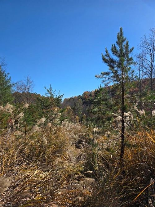 TBD Browntown Rd, Millers Creek, NC, 28651 | Card Image