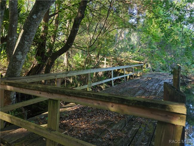 12445 W Foss Groves Path, Home with 0 bedrooms, 0 bathrooms and null parking in INGLIS FL | Image 13