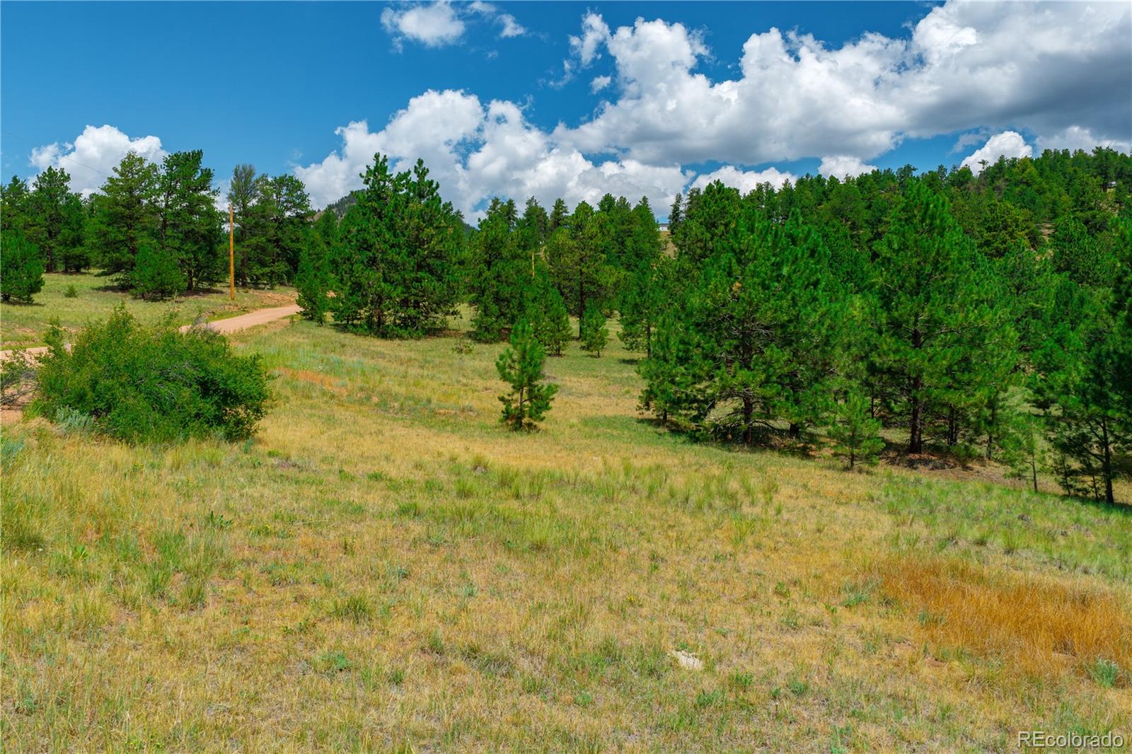 Land in Cripple Creek 5