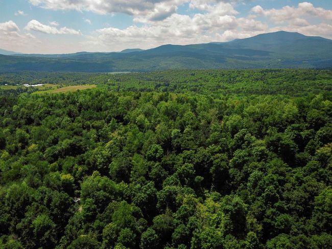1730 Sinclair Rd, Home with 0 bedrooms, 0 bathrooms and null parking in Johnson VT | Image 32