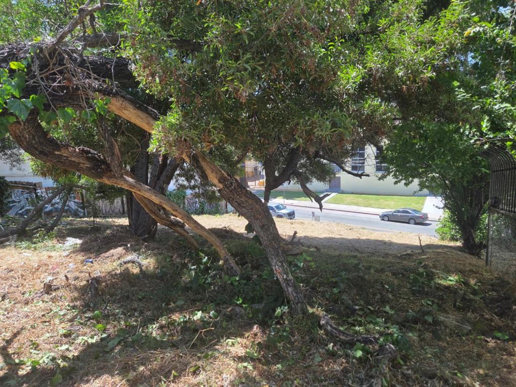 Land in Oakland 2