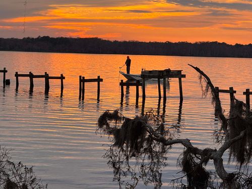 8337 Colee Cove Rd., St Augustine, FL, 32092 | Card Image