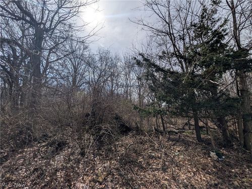 VL North Ridge Road, Lorain, OH, 44053 | Card Image