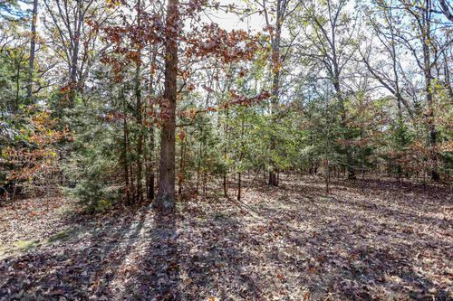 TBD San Saba Ct, Mount Vernon, TX, 75457 | Card Image