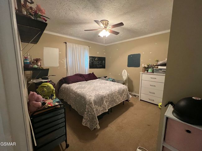 817 Billbee Rd, House other with 4 bedrooms, 2 bathrooms and null parking in Dandridge TN | Image 16