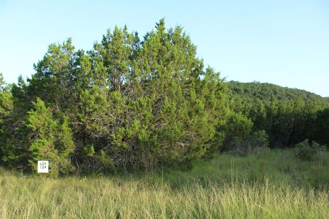 Lot front right | Image 26