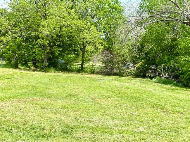 variety of trees | Image 7