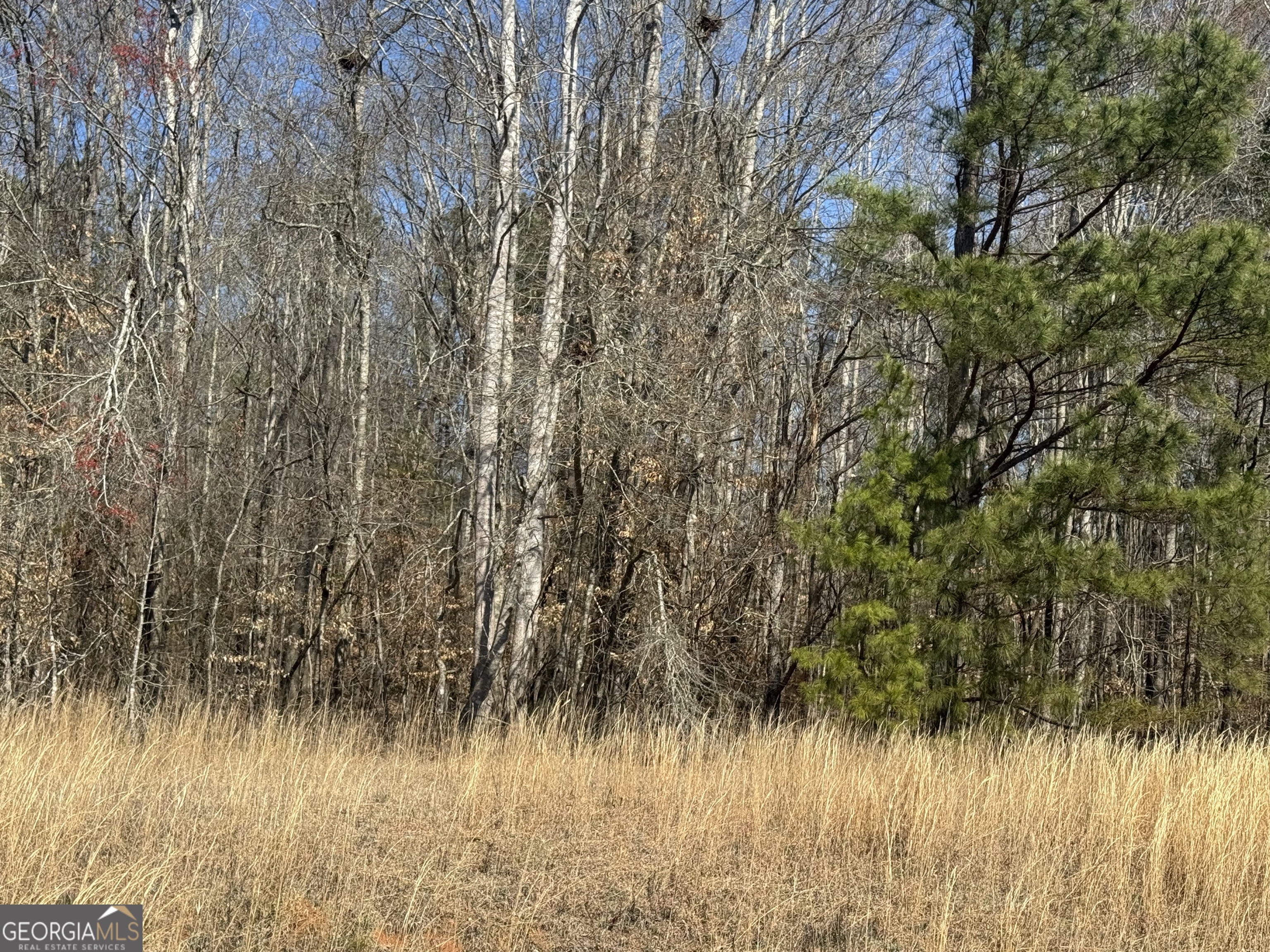 Land in Roanoke 3