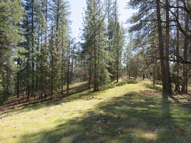 4196 Bald Mountain Rd, Home with 0 bedrooms, 0 bathrooms and null parking in West Point CA | Image 37