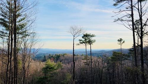 Lot 73 Mountain View Rd, Ellijay, GA, 30540-0561 | Card Image