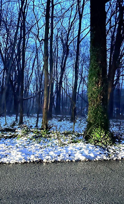 0 N Miller Blvd, New Carlisle, IN, 46552 | Card Image