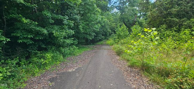 20240613_150951 | Image 14