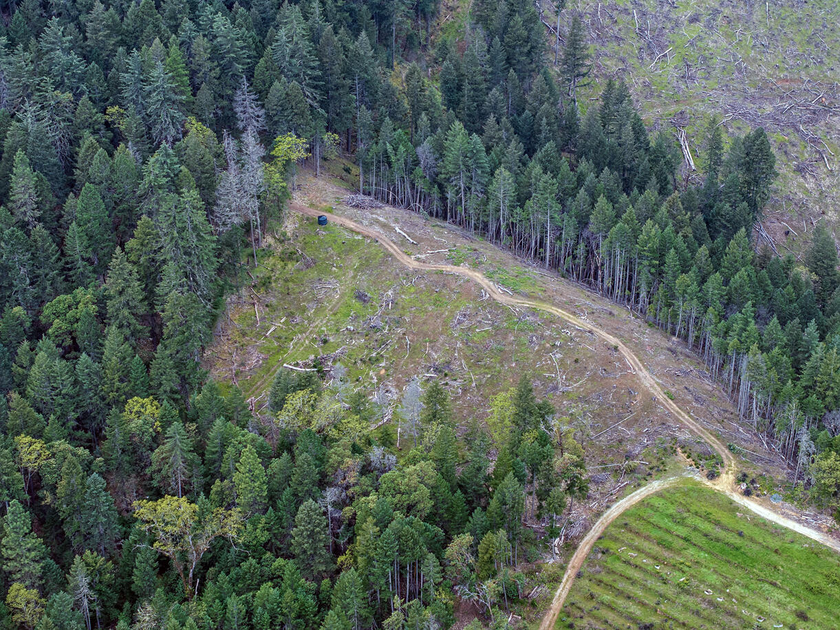Quartz Creek Rd, Merlin, OR 97532 #1
