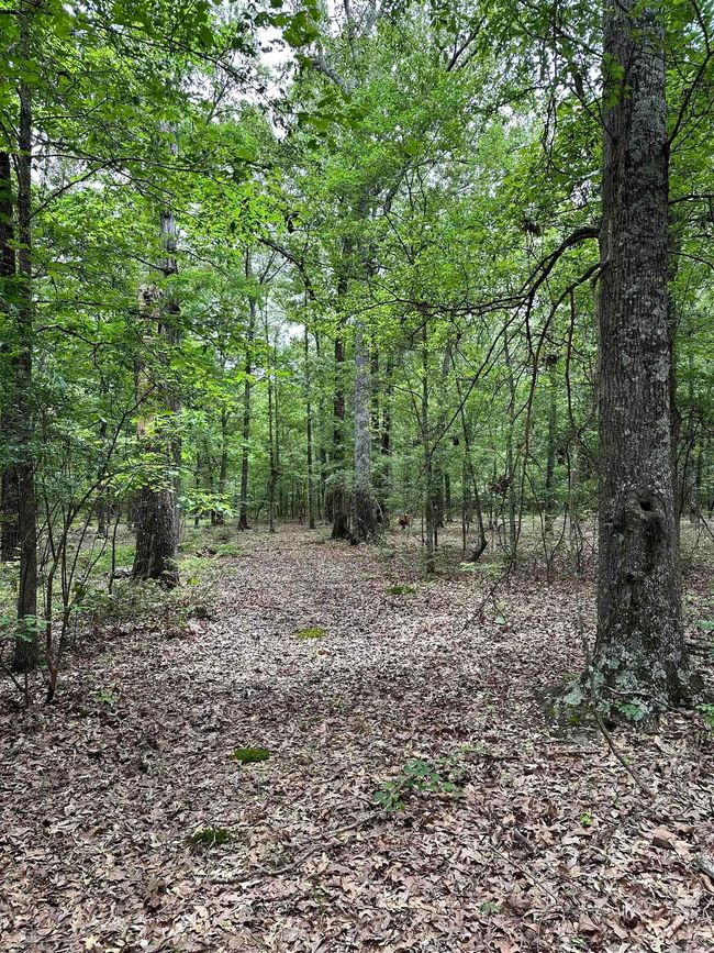 000 Oak Dale Rd, Home with 0 bedrooms, 0 bathrooms and null parking in Lonoke AR | Image 36