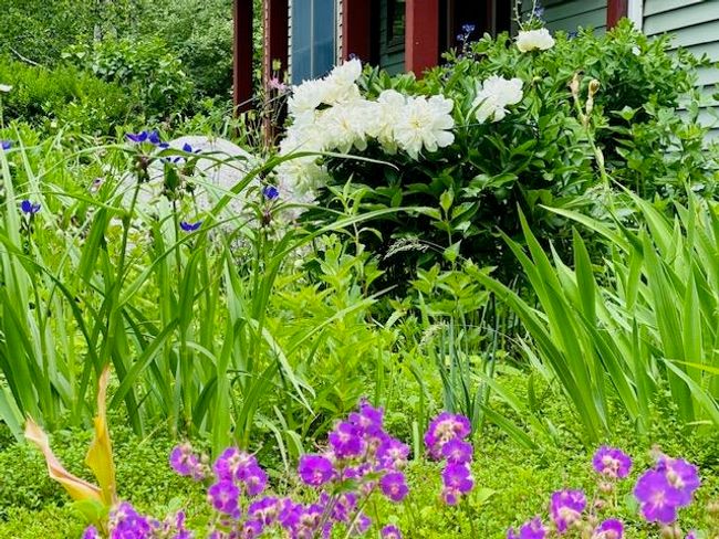 104 Juniper Ridge Rd, House other with 3 bedrooms, 4 bathrooms and null parking in Brattleboro VT | Image 58
