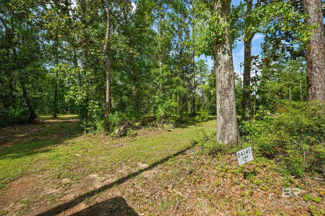 Yard | Image 7