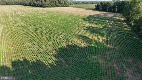 PARCEL B Russell Road, BRIDGEVILLE, DE, 19933 | Card Image