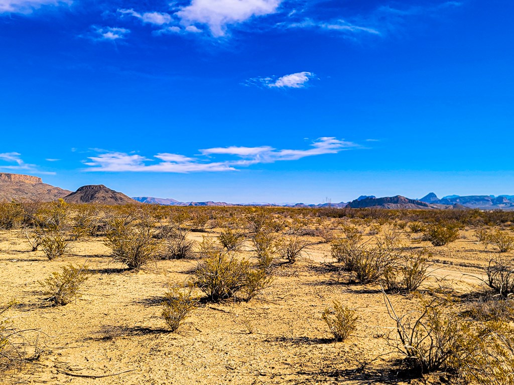 Land in Terlingua 5