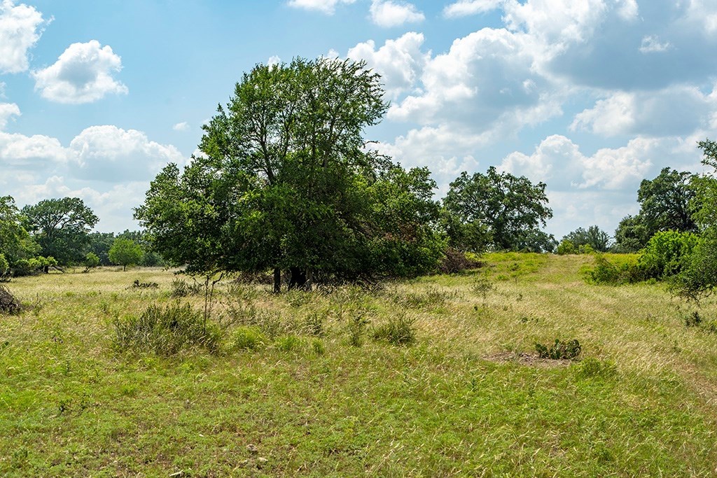 Land in Harper 2
