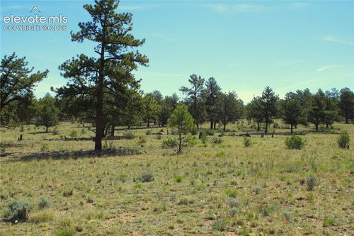 31572 Highway 9, Fairplay, CO, 80440 | Card Image